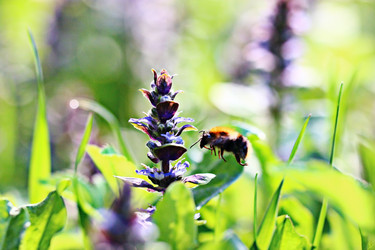 Similar image 10514325