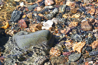 Similar image 10514327