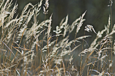 Similar image 10514354