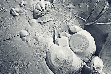 Similar image 10514362