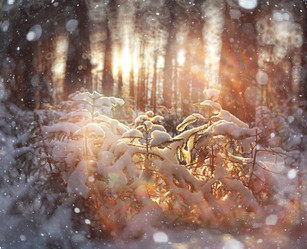 Similar image 10514364