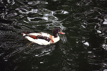 Similar image 10514369