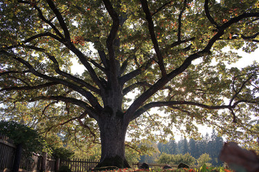 Similar image 10514488