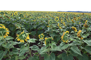 Similar image 10514489