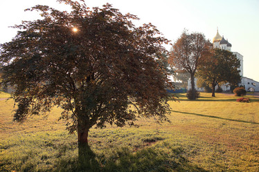 Similar image 10514495