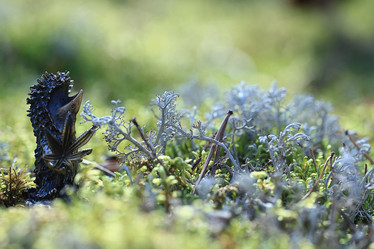 Similar image 10514496