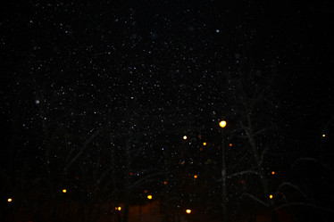 Similar image 10514502