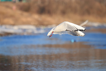 Similar image 10514505