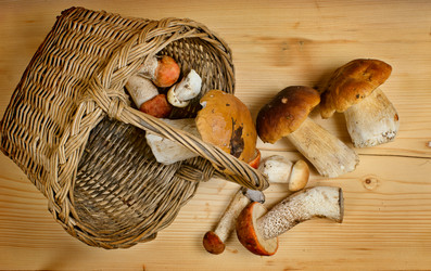 Similar image 10514539