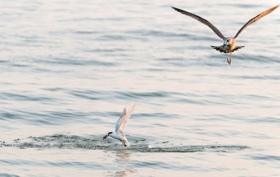 Similar image 10514546