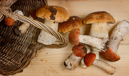 Similar image 10514560