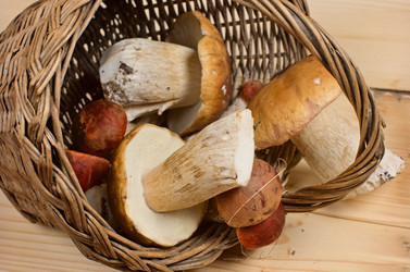 Similar image 10514562