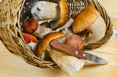 Similar image 10514563