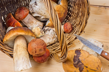 Similar image 10514564