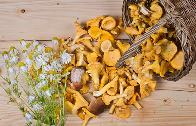 Similar image 10514570