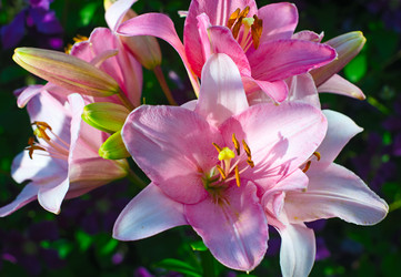 Similar image 10514572