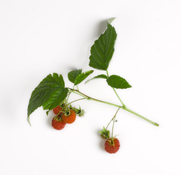 Similar image 10514573