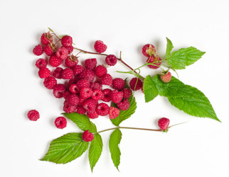 Similar image 10514574