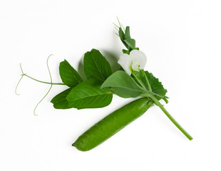 Similar image 10514576