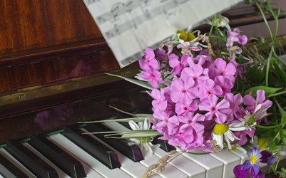 Similar image 10515442