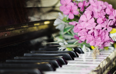 Similar image 10515447