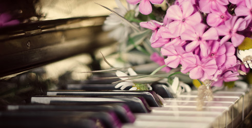 Similar image 10515449