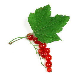 Similar image 10515453