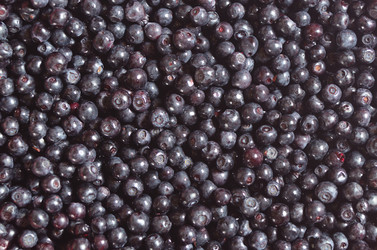 Similar image 10515457