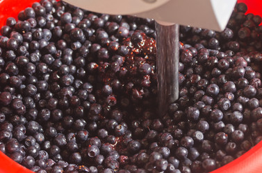 Similar image 10515463