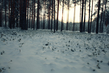 Similar image 10515615