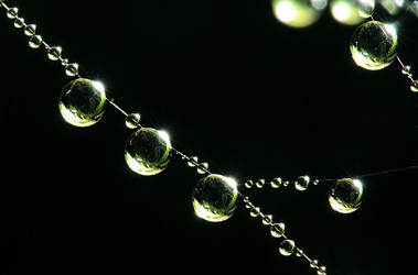 Similar image 10515618