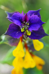 Similar image 10515632