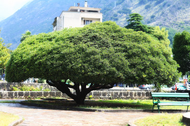 Similar image 10515708