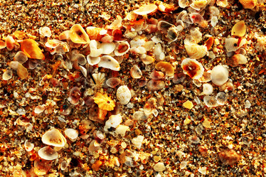 Similar image 10515749