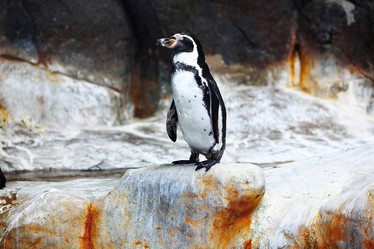 Similar image 10515750