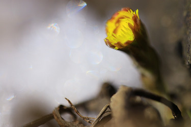 Similar image 10515754