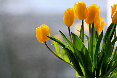 Similar image 10515759