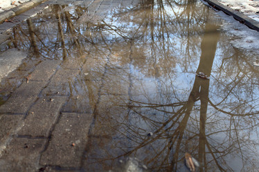 Similar image 10515784