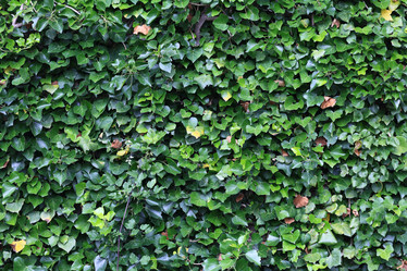 Similar image 10515832