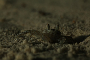 Similar image 10516006