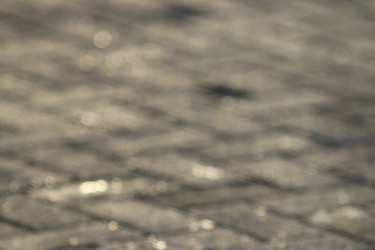 Similar image 10516034