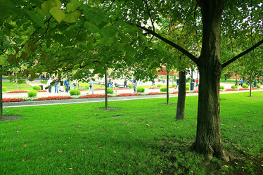 Similar image 10516045