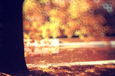 Similar image 10516048