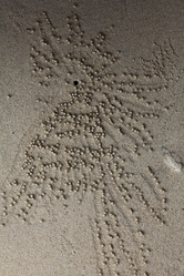 Similar image 10516422