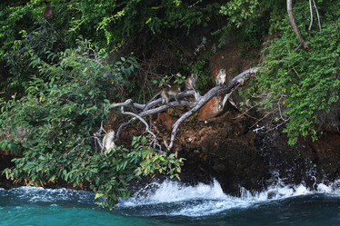 Similar image 10516424