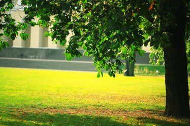 Similar image 10516429