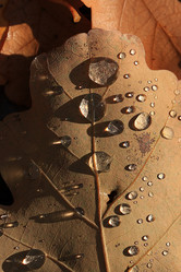 Similar image 10516430