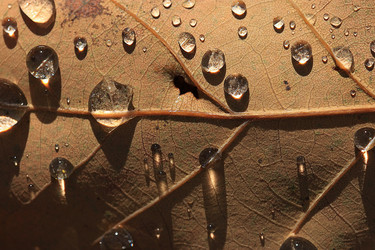 Similar image 10516431