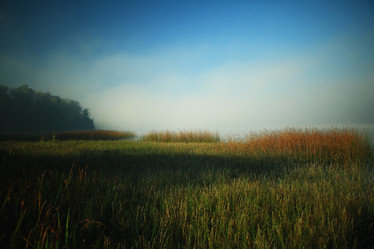 Similar image 10516436