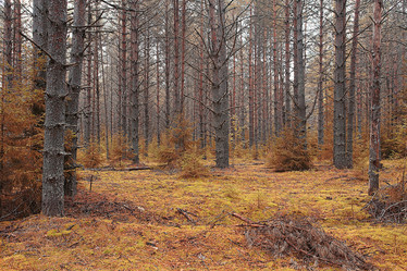 Similar image 10516440